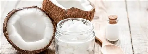 Здравый смысл: кокосовое масло и оливковое масло