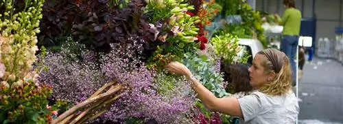 Bloemencorso Rijnsburg все о пословицах и поговорках