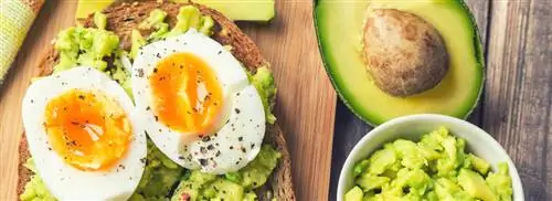 Ноябрь все о популярном авокадо