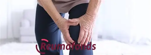 Понимание ревматизма