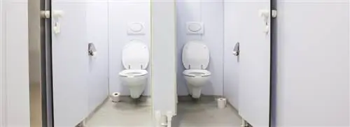 Общественные туалеты немного чище, но недостаточно чистые