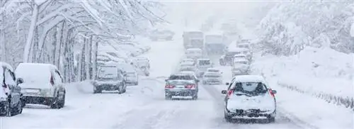 О зимних видах спорта? Затем принесите достаточно еды и теплых одеял