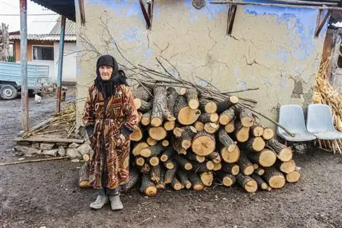 MAX делает возможным