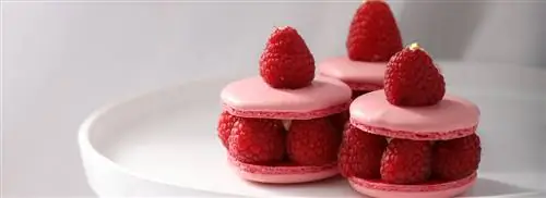 Macaron Ispahan от Hans Spitsbaard