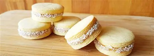 Альфахорес из Сарены Солари