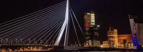 Андре Кейперс выключает свет на мосту Эразма в рамках акции «Час Земли»