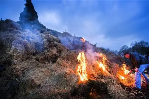 пасхальные огни