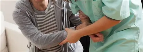 Enschede и Almelo придумали альтернативу защищенному от мошенничества PGB