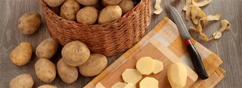 Нидерланды, картофельная страна