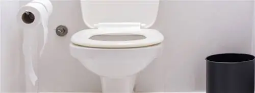 Национальный день какашек