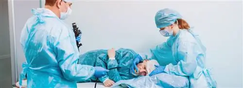 Эндоскопы для визуального осмотра не всегда чистые