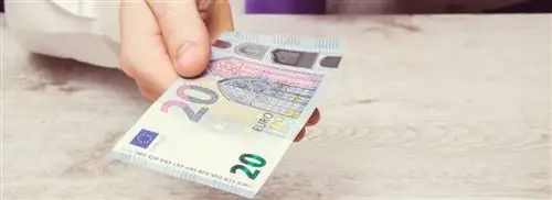 Какова сумма моего пособия по безработице?