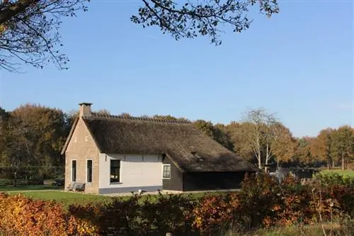 федериксоорд