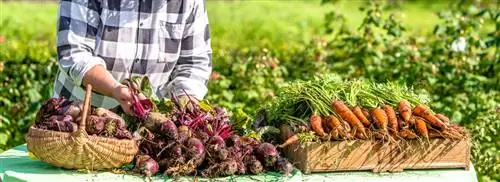 Органические продукты действительно органические? Не всегда