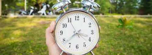 Голосование окончено, что теперь будет с летним временем?