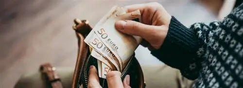 Тысячи голландцев пострадали в финансовом отношении из-за низких процентных ставок по индивидуальным пенсионным планам