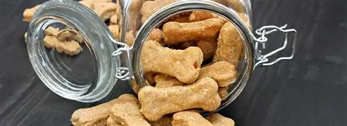 De Nieuwe Lekkerbek: собачье печенье и для людей, поффер-палочки и дикая карта