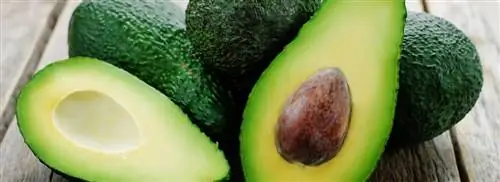 Simple by Ottolenghi Янни ван дер Хейден