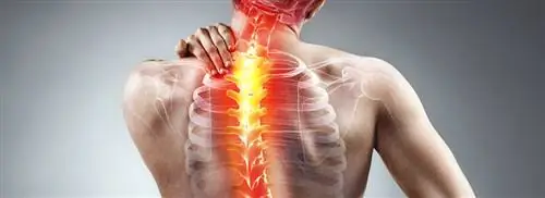 В новостях: менингококки и сколиоз