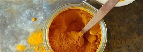 Курица с яблоком, кокосом и карри от Ники Офей