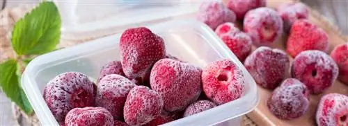 Морозильная камера - идеальное место для хранения этих продуктов