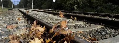NS пытается &8216;идеальный стиль вождения’ выключено, чтобы избежать задержек при падении