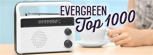 Запущен Evergreen Top 1000