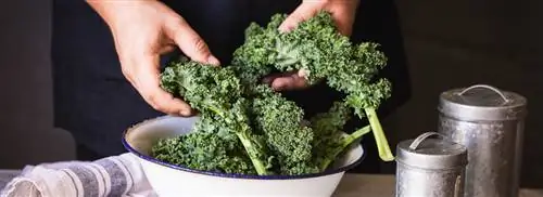 Kale Quiche от Sandra Ysbrandy