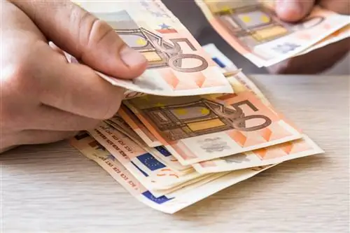 Цены в Нидерландах растут быстрее, чем в других странах еврозоны