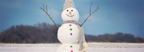 Прогноз погоды: зимние забавы