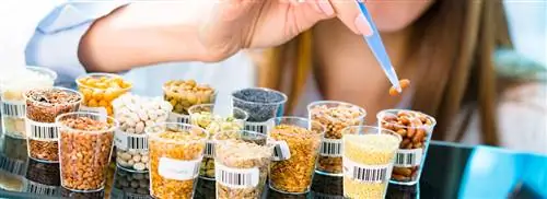 Требуется гораздо больше внимания безопасности пищевых продуктов