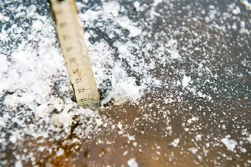 Тур по одиннадцати городам