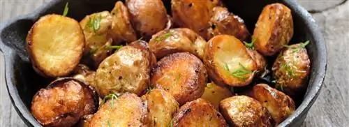 Акриламид в подрумяненных продуктах, что это такое и действительно ли он настолько канцерогенен?