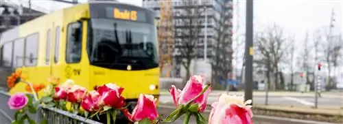 Бесшумное путешествие в Утрехте для жертв стрельбы