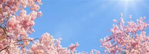Прогноз погоды: еще одна довольно сухая весна?