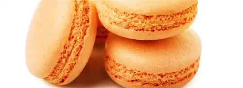 King Macarons от Роберта ван Бекховена