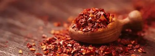 Чечевица Харисса со шпинатом и йогуртовой заправкой от Sandra Ysbrandy