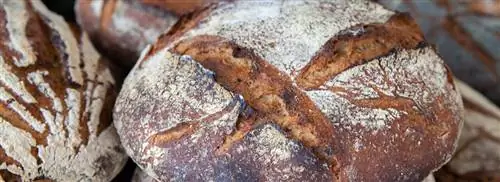 Pan Bagnat от Janny van der Heijden