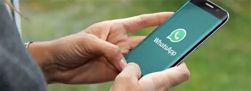 Digitips о WhatsApp: пересылать сообщения, искать и отключать групповой чат