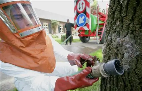 гусеница из дуба