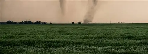 Прогноз погоды: tornado’s в Нидерландах