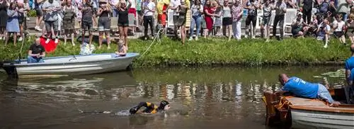 Финиш (почти) близок для Мартена ван дер Вейдена