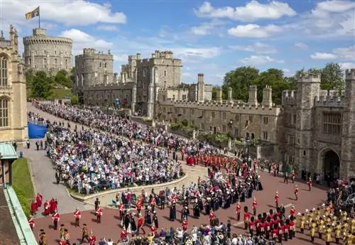 Король Виллем Александр