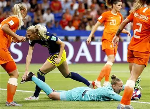 Оранжевые львицы