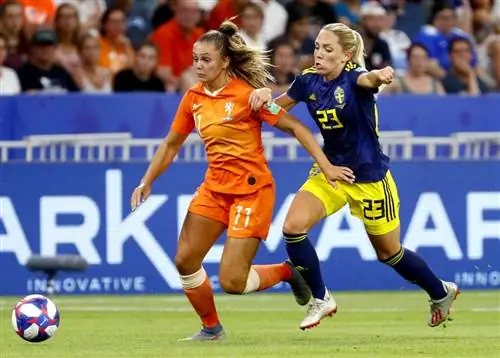 Оранжевые львицы