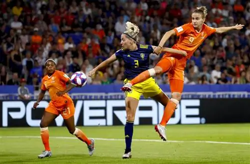 Оранжевые львицы