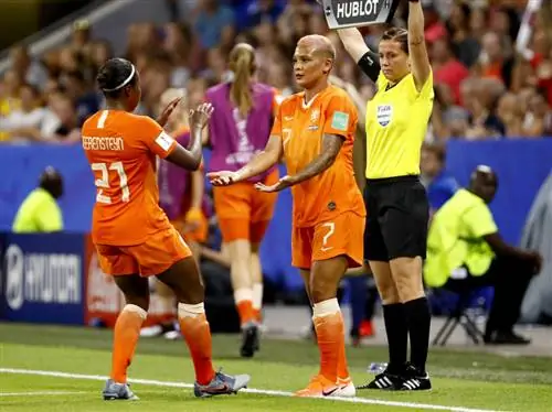 Оранжевые львицы