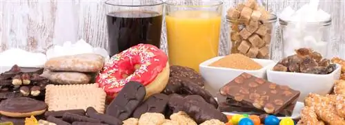 День максимального потребления сахара: когда вы потребляете максимальное количество сахара в год?