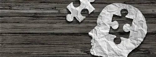 Дела в Нидерландах: запутанные и опасные