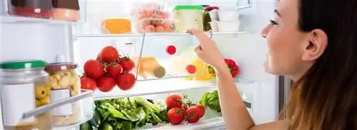 В отпуске, а холодильник еще (наполовину) полон? Отнеси к соседям